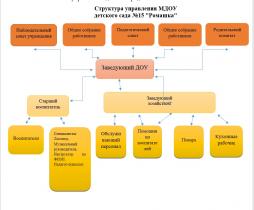 Структура управления МДОУ 
детского сада №15 "Ромашка"
Административное управление, имеющее многоуровневую структуру:
Структура управления детским садом представляет собой совокупность всех его органов с присущими им функциями.
На Ι уровне управления находится заведующий детским садом, который осуществляет руководство и контроль за деятельностью всех структур.
На ΙΙ уровне управление осуществляют старший воспитатель, заведующий хозяйством, которые взаимодействуют с соответствующими объектами управления. 
Объект управления - часть коллектива согласно функциональным обязанностям. 
ΙΙΙ уровень управления осуществляют воспитатели и специалисты. Организуют образовательный и коррекционно-развивающий процессы, создают условия для успешного и качественного воспитания, образования и развития воспитанников. Осуществляют непосредственное взаимодействия с семьями воспитанников. 
Объект управления - дети и их родители.